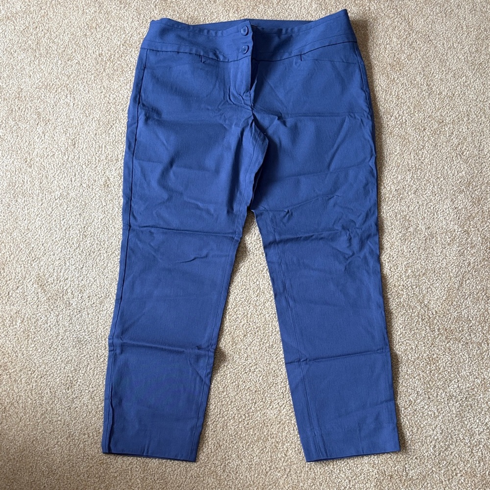 The Limited Exact Stretch Blue Trousers size 8 pants